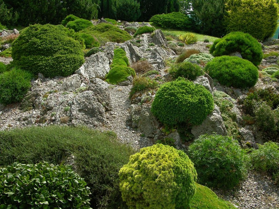 Рокарий Каменистый сад