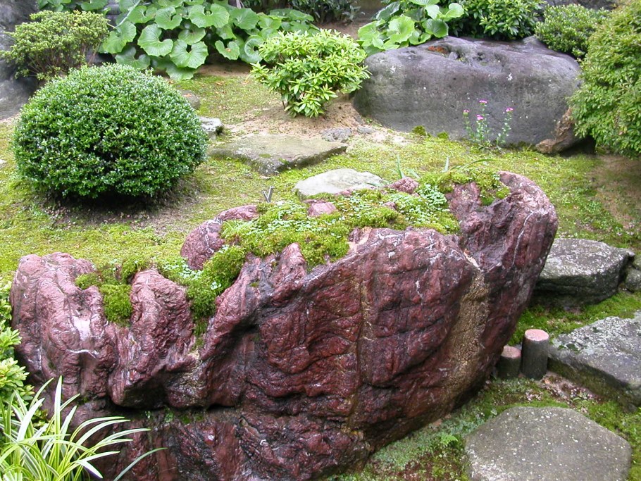 Ландшафт из мха