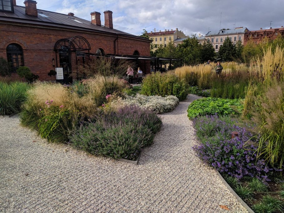 Новая Голландия мох