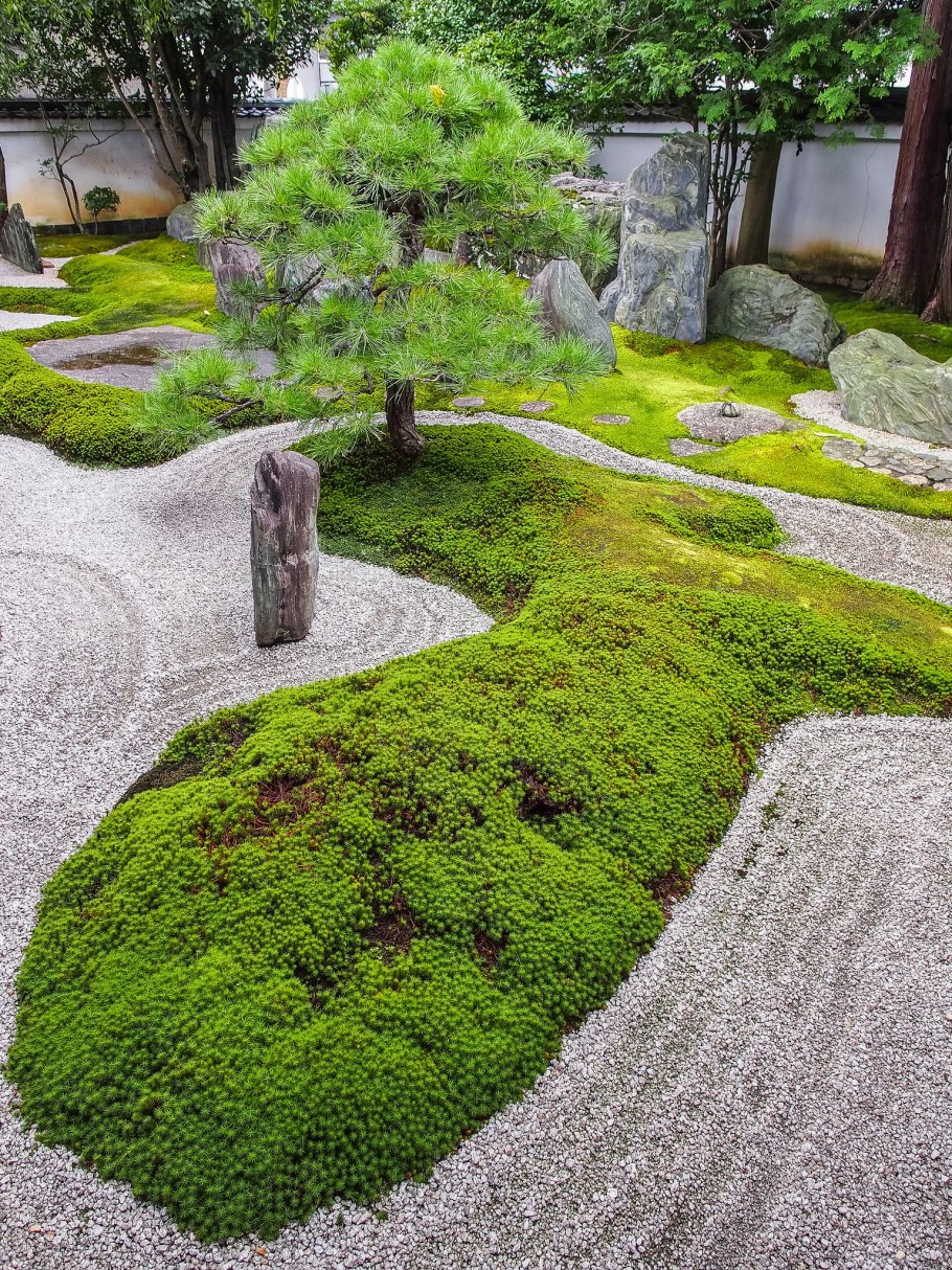 Рокарий ниваки Мшанка