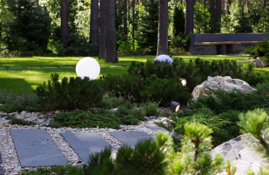 DEREVOPARK ландшафт