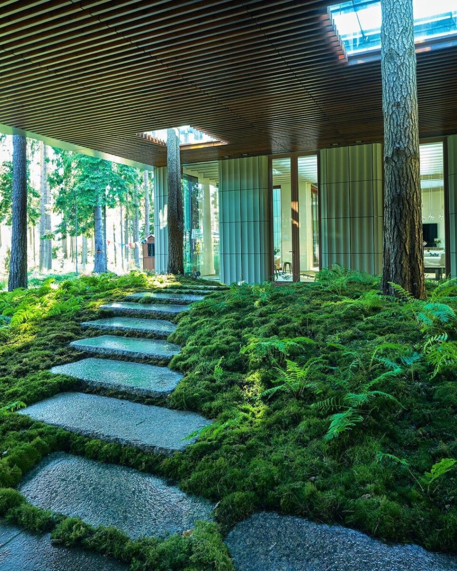 Ландшафтное бюро мох СПБ