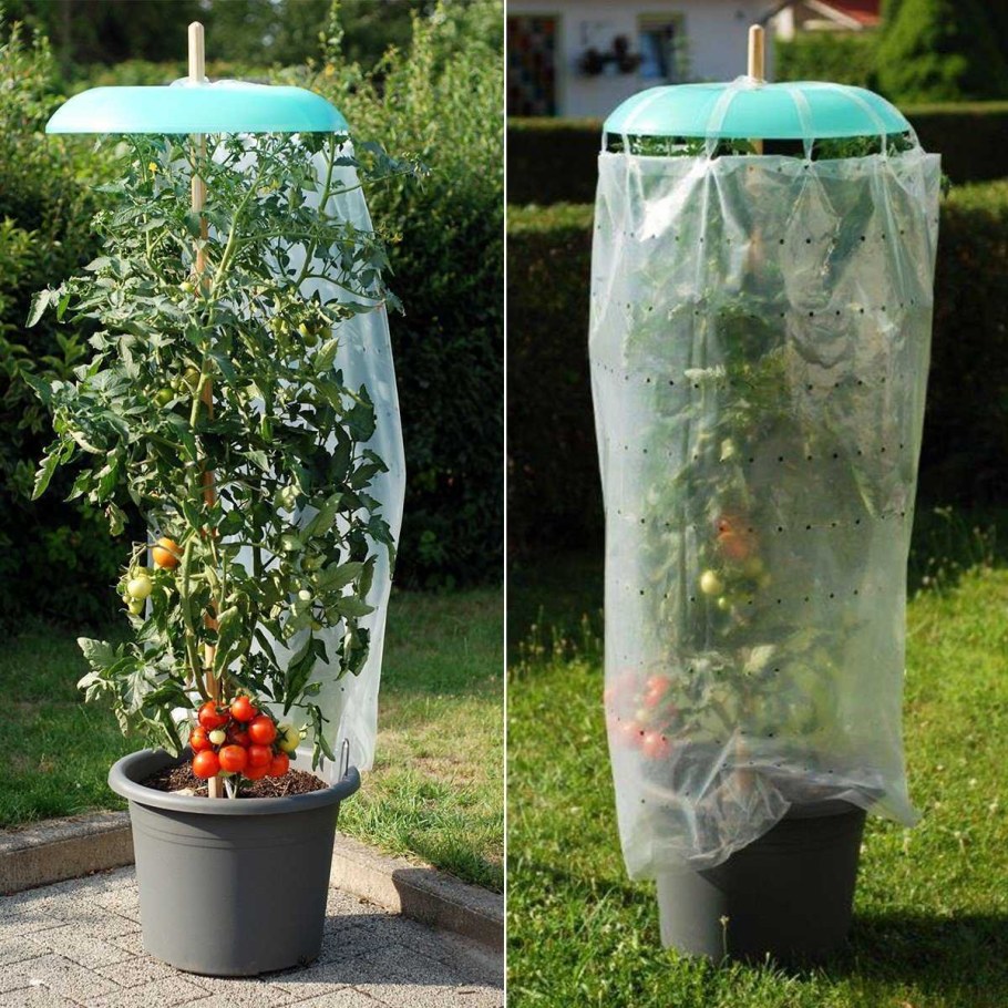 Интересные вещи для сада и огорода