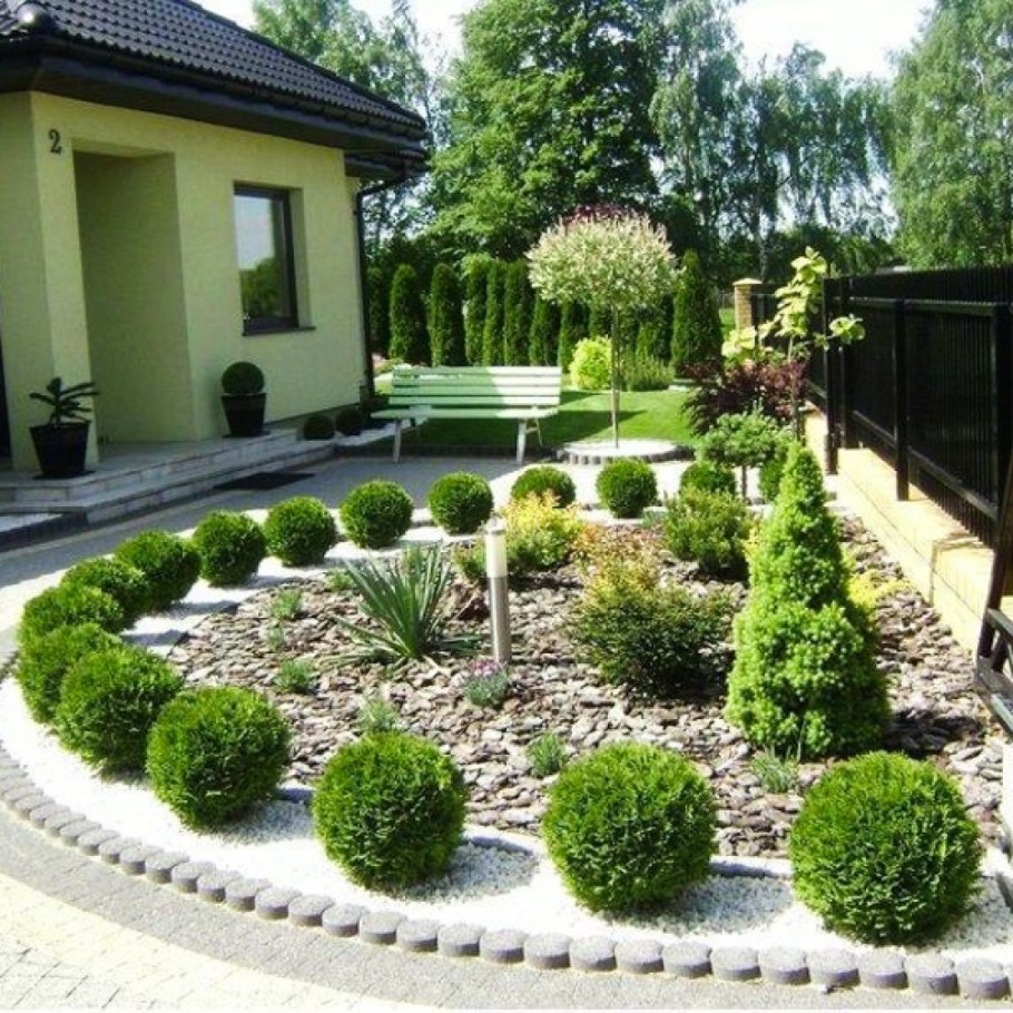 Туя Даника в ландшафтном