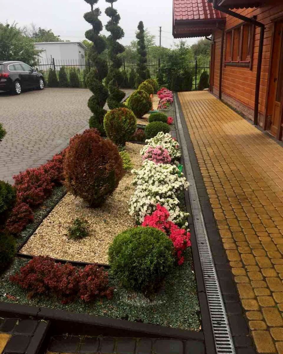 Современные цветники