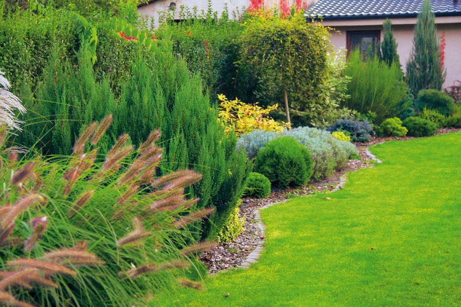 Цветник со злаками