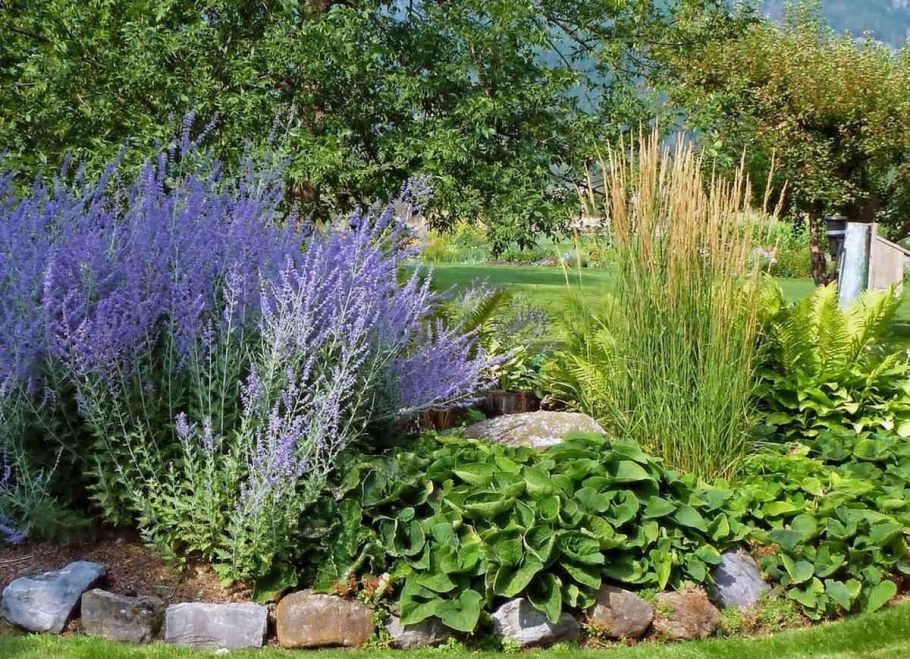 Перевоские лебедовистная