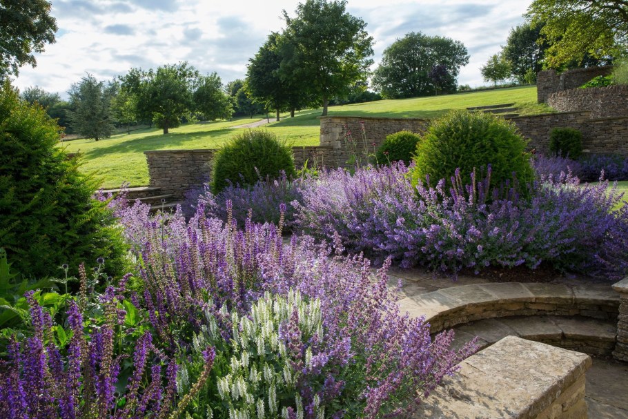 Котовник Фассена