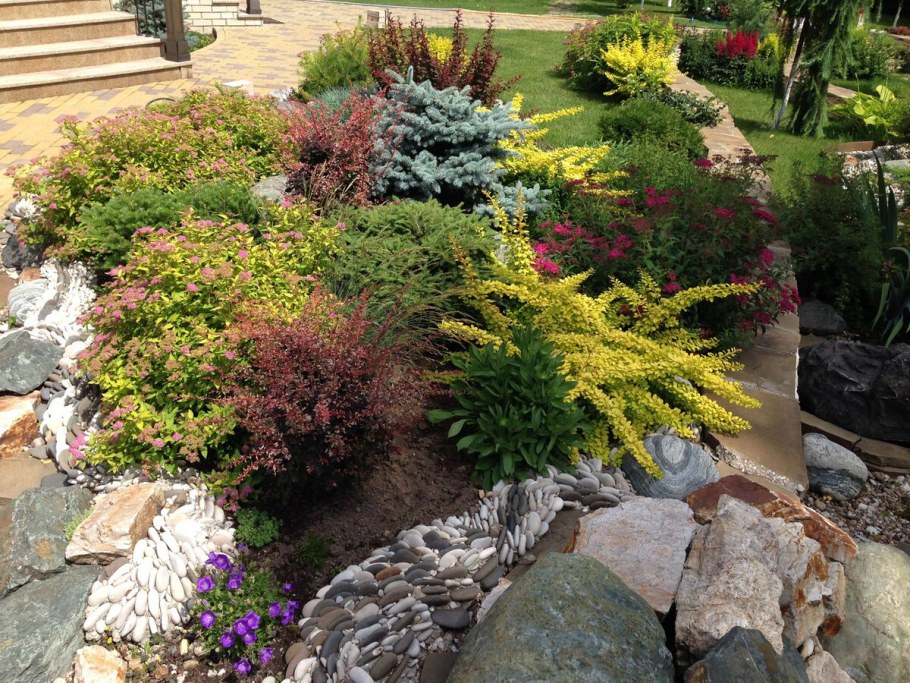 Рокарий туя Барбарис