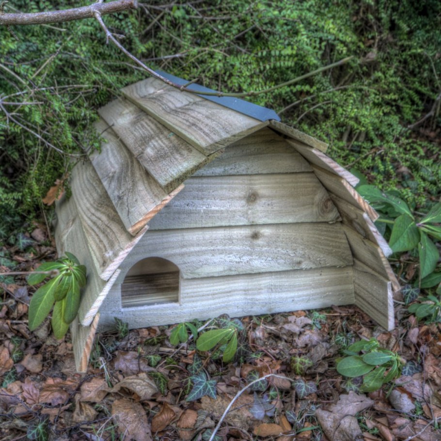 Домик для Ёжика на даче