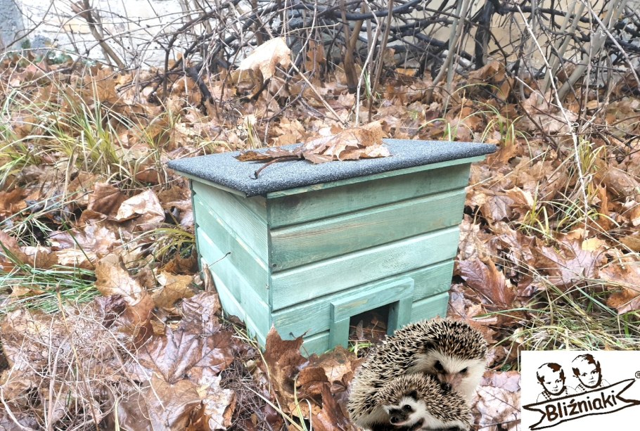 Кормушка для ежей