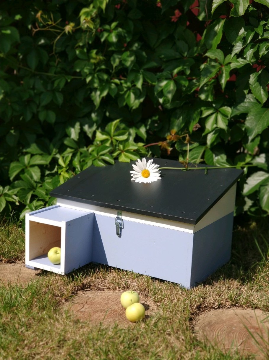 Дом для ежа купить