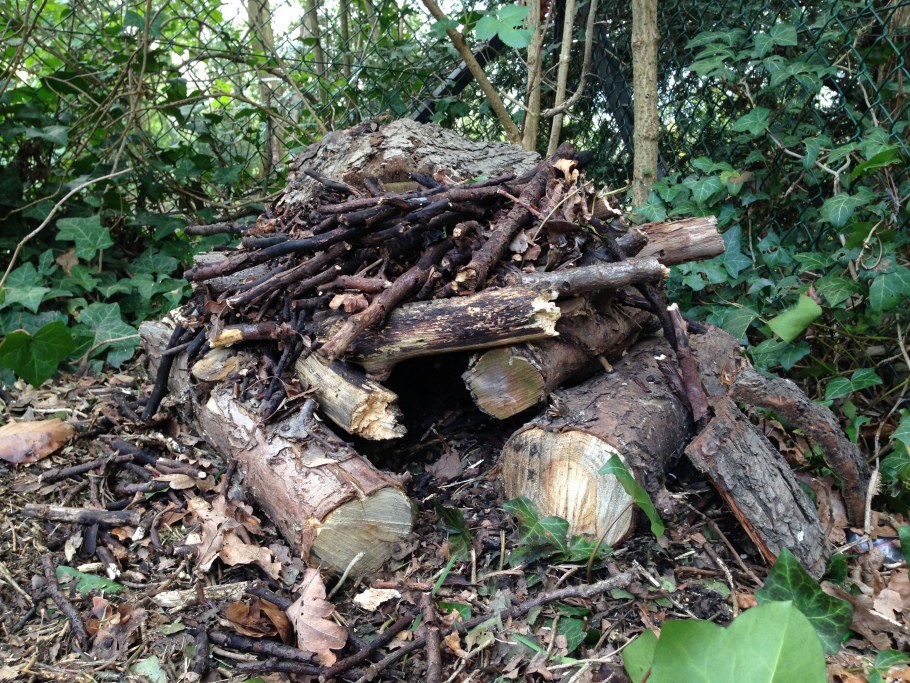 Домик для ежа на участке