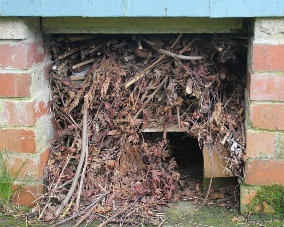 Домик для ежей на даче