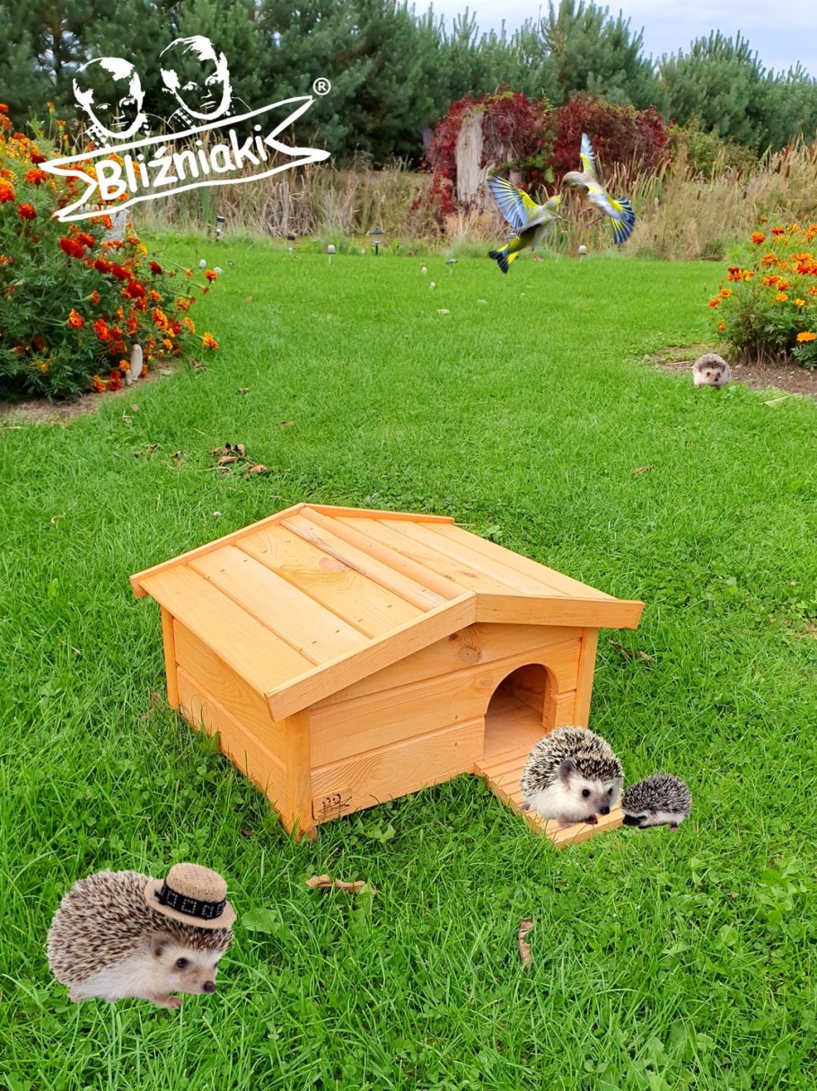 Домик для Ёжика на даче