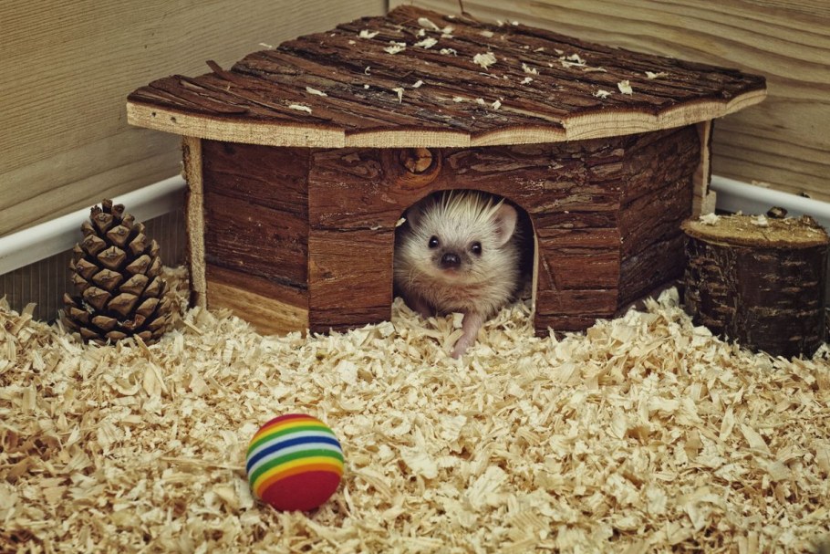 Домик для ежей