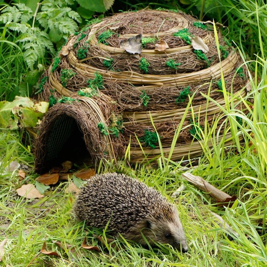 Домик для ежей