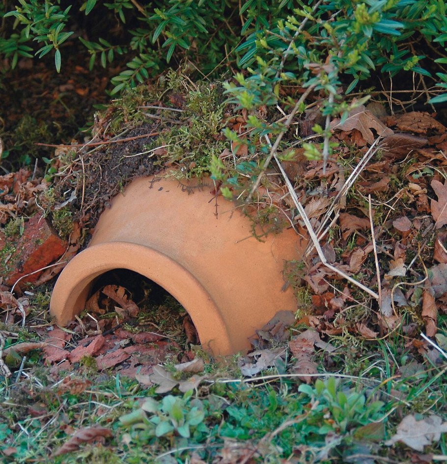 Домик для диких ежей