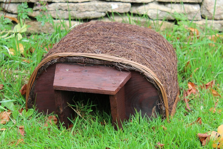 Домик для Ёжика на даче