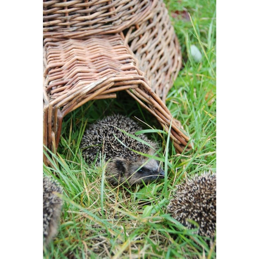 Домик для ежика
