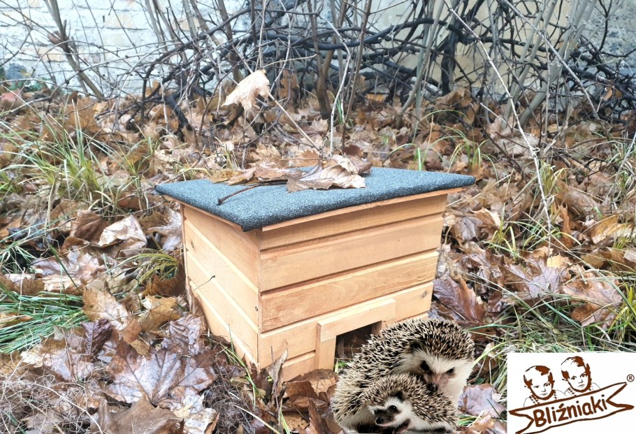 Домик для ежика в квартире