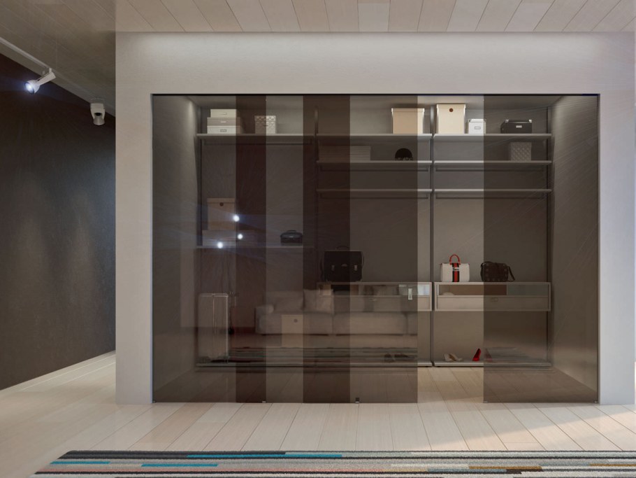 Шкаф купе с тонированным стеклом