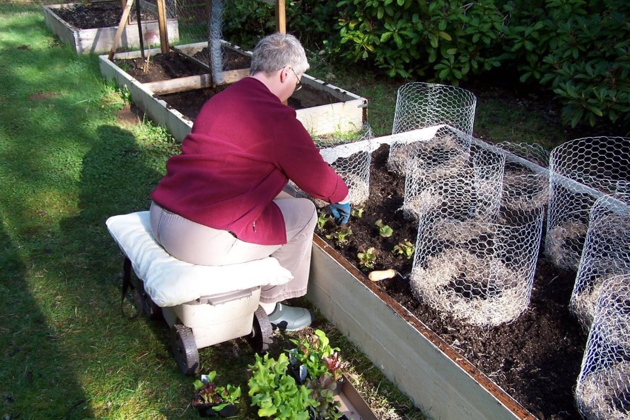 Идеи для сада и огорода