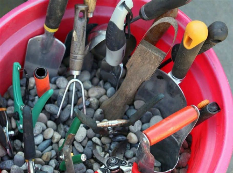 Хитрости для сада и огорода