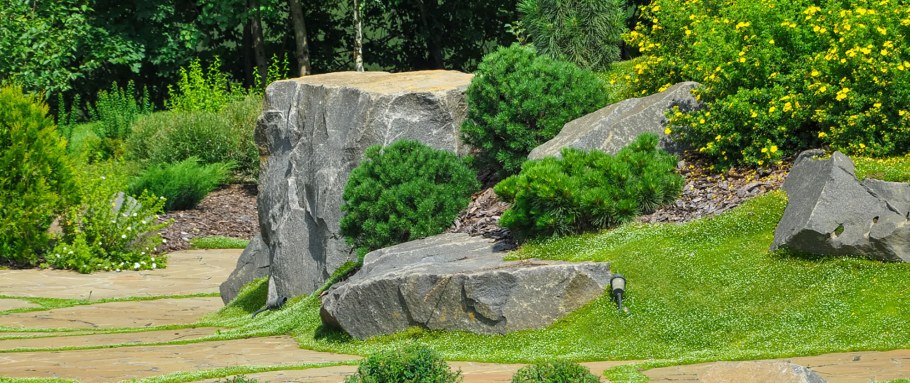 Мшанка шиловидная в ландшафте