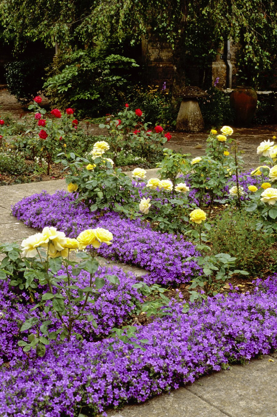 Огородный миксбордер