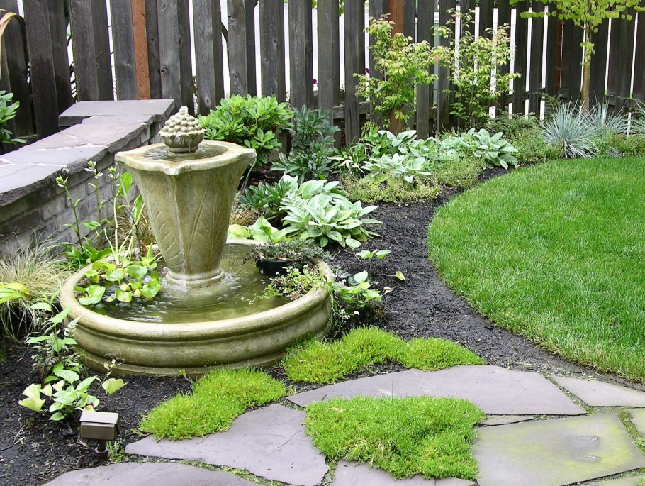 Мшанка шиловидная 'Green Moss'