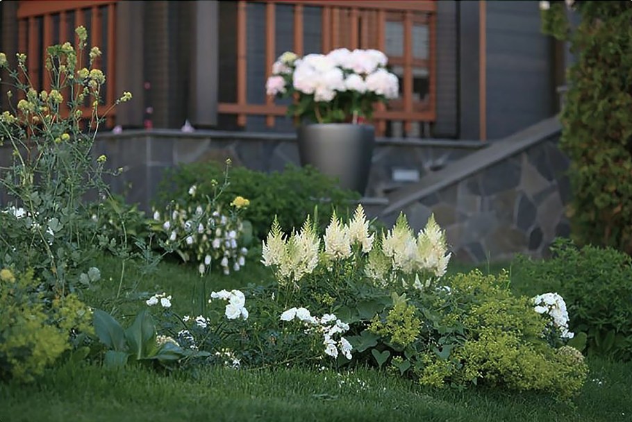 Татьяна Койсман цветники