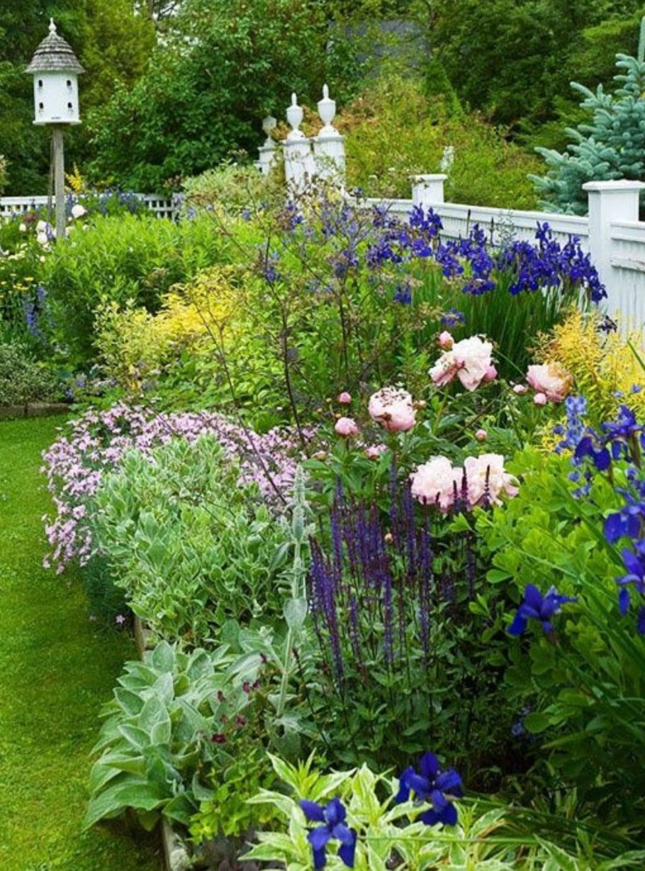 Клумба дельфиниум Люпин Мальва