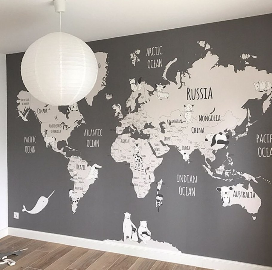 Фотообои в виде карты мира