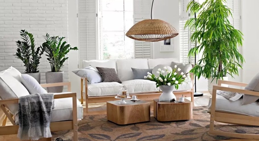 Гостиная с комнатными цветами