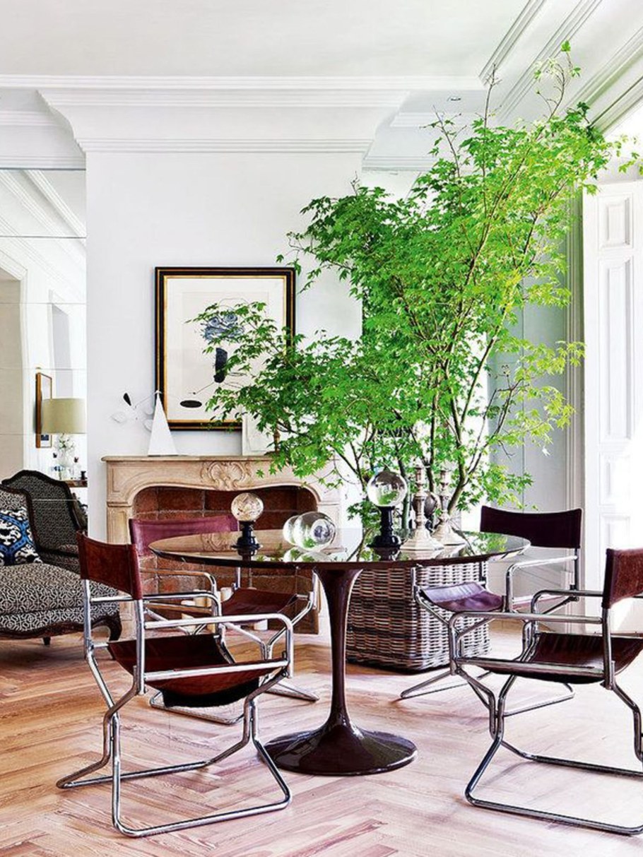 Комнатные цветы в интерьере