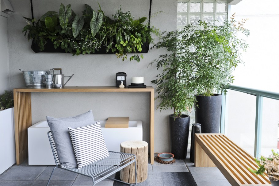 Живые растения в интерьере