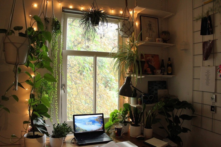 Уютная комната с растениями