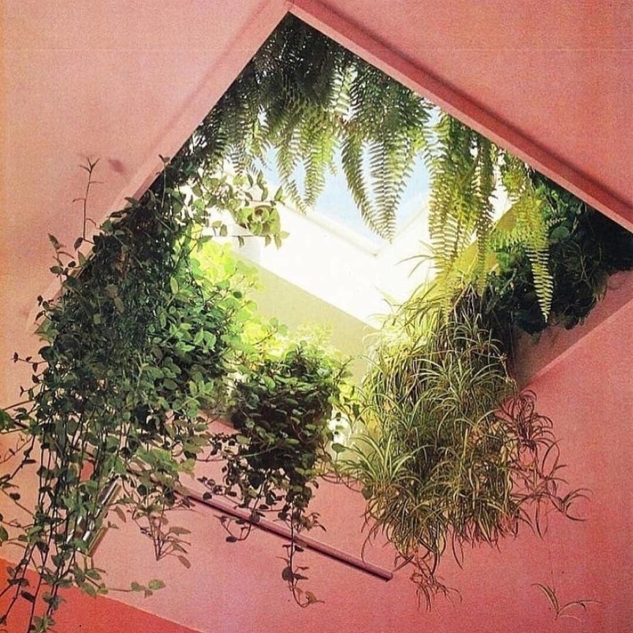 Лианы на потолке