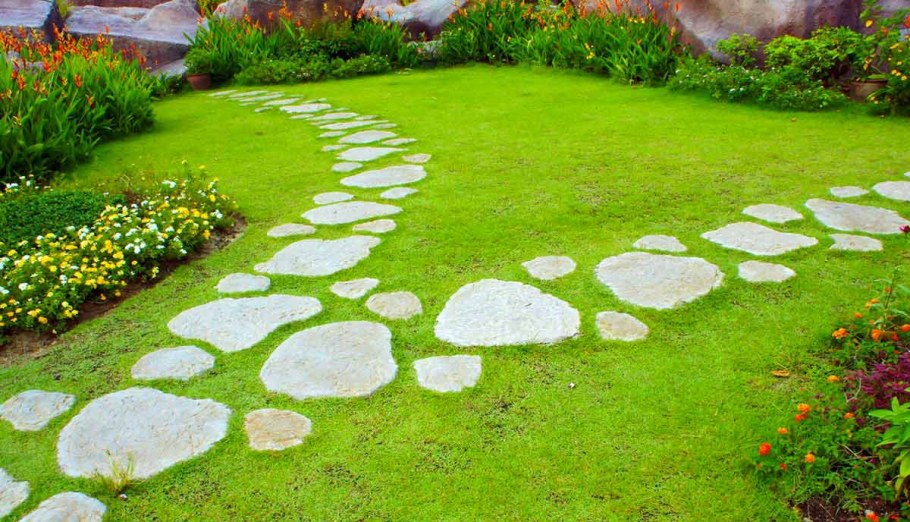 Мшанка шиловидная