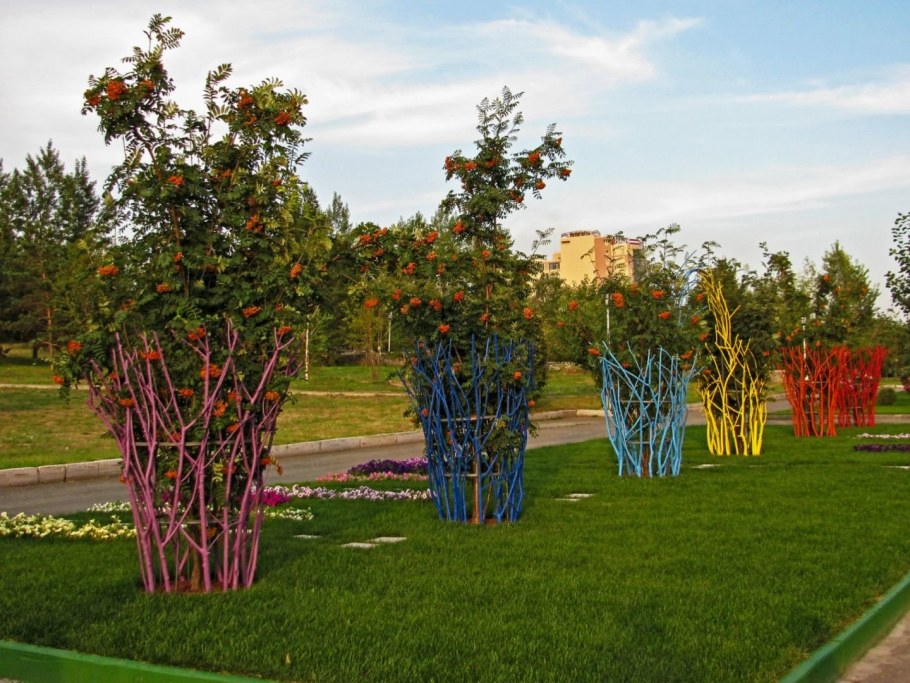 Барбарис Эректа изгородь