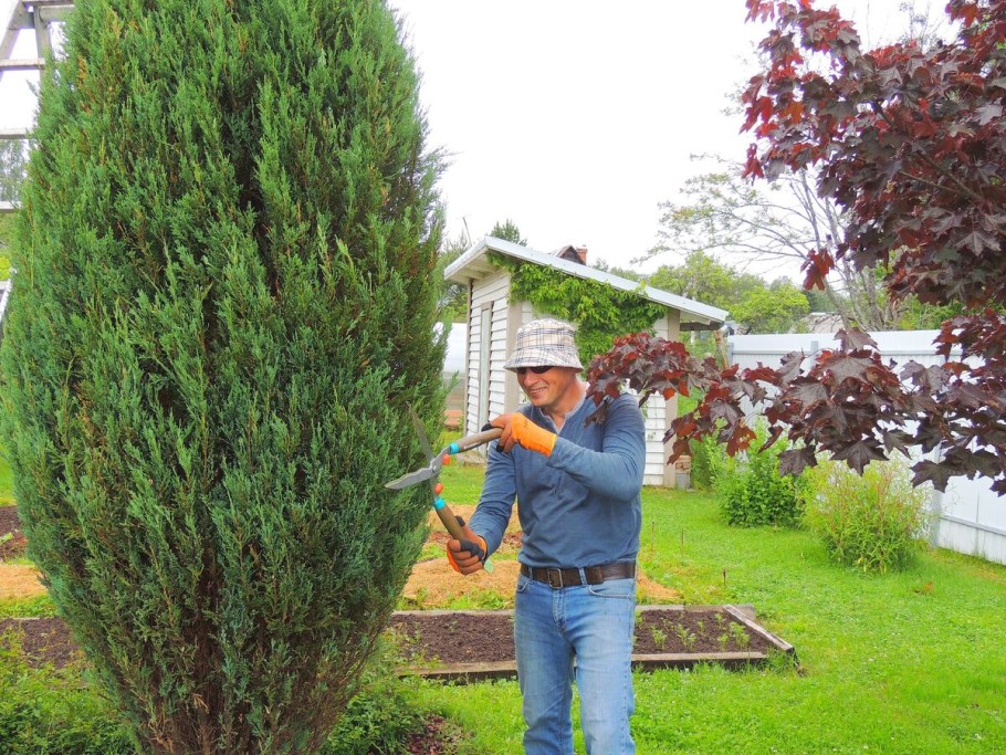 Кипарисов Сергей Юрьевич Челябинск