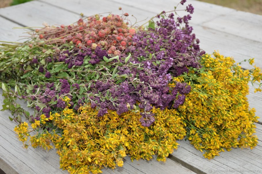 Душица и зверобой