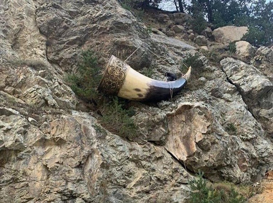 Рог изобилия цей Северная Осетия