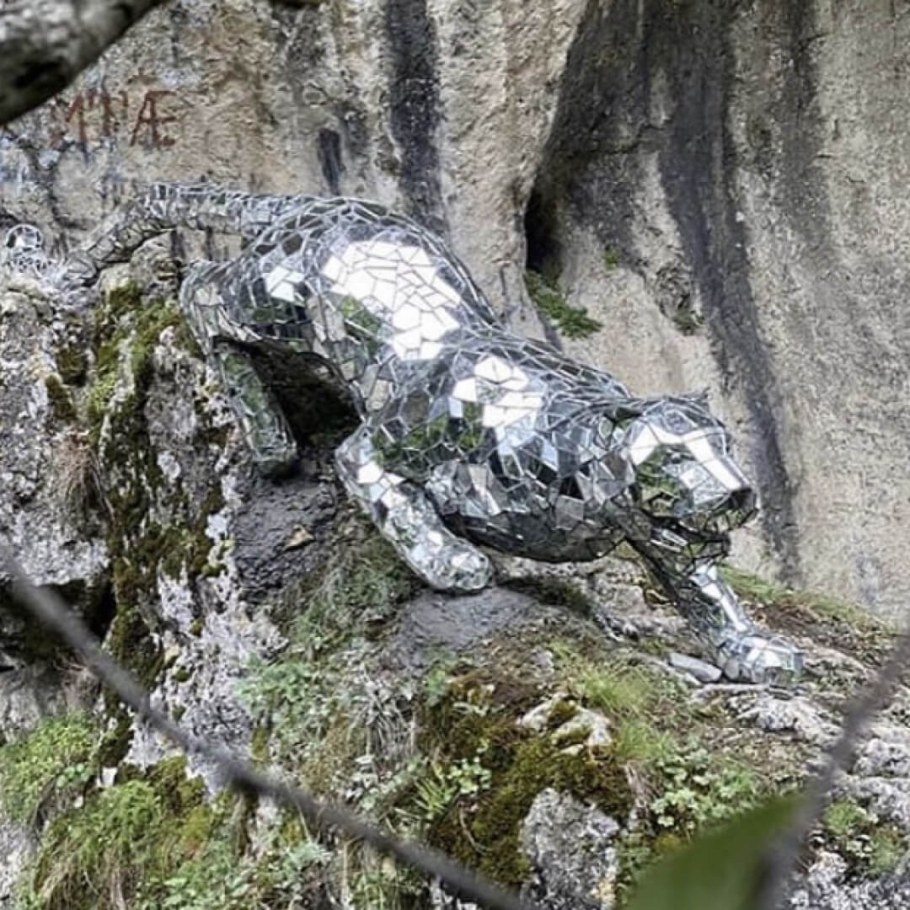 Зеркальный Барс Фиагдон