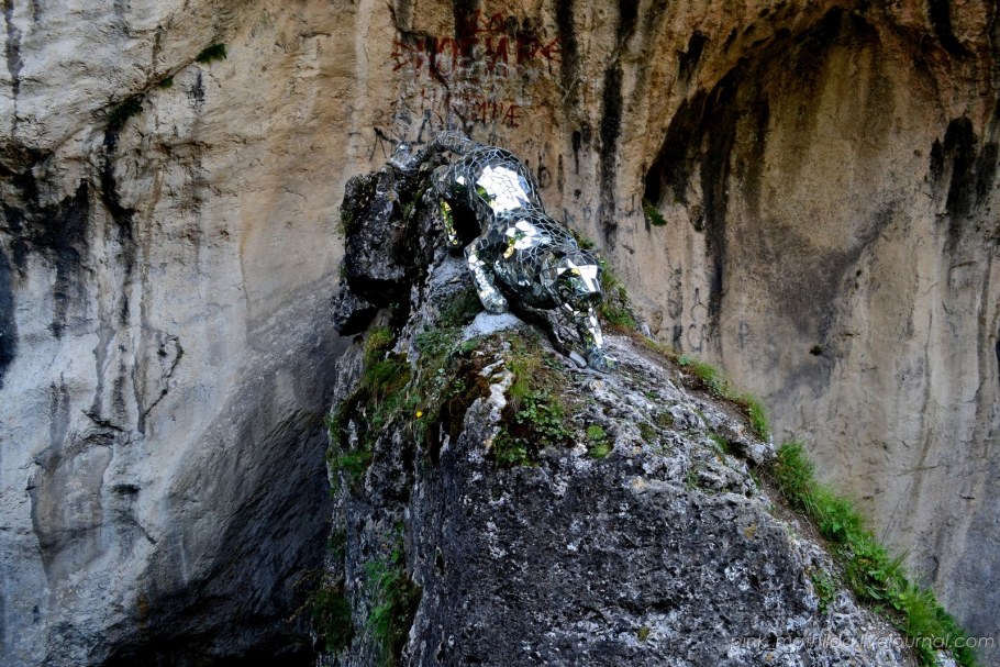 Зеркальный Барс в Кадаргаванском каньоне