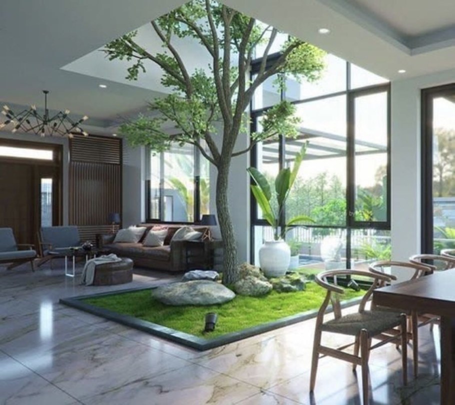 Дерево в интерьере