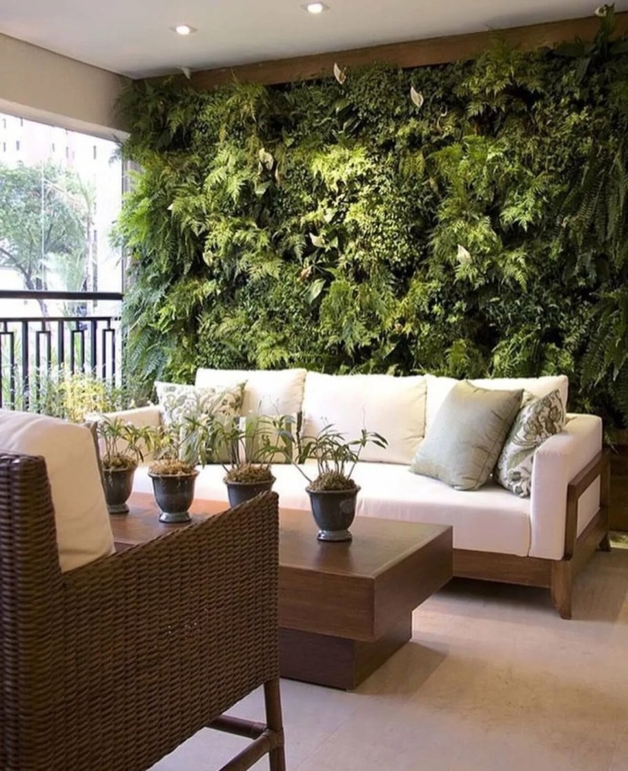 Спатифиллум фитостена