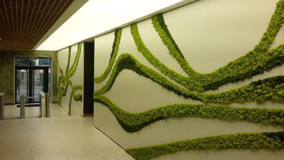 Фитостена мох стабилизированный