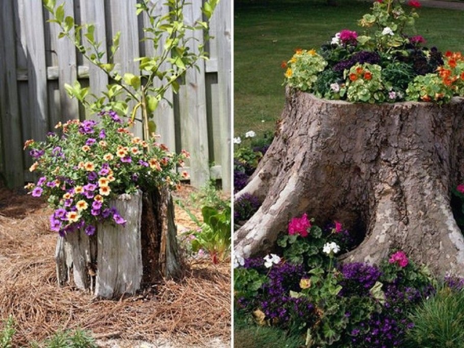 Пень в саду декор